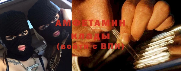 ПСИЛОЦИБИНОВЫЕ ГРИБЫ Богданович