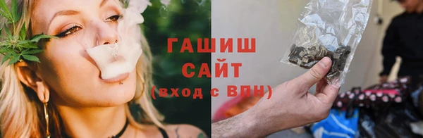 ПСИЛОЦИБИНОВЫЕ ГРИБЫ Богданович