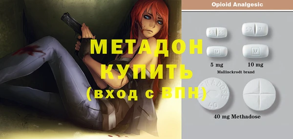 ПСИЛОЦИБИНОВЫЕ ГРИБЫ Богданович