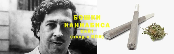 ПСИЛОЦИБИНОВЫЕ ГРИБЫ Богданович