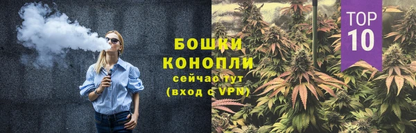 ПСИЛОЦИБИНОВЫЕ ГРИБЫ Богданович