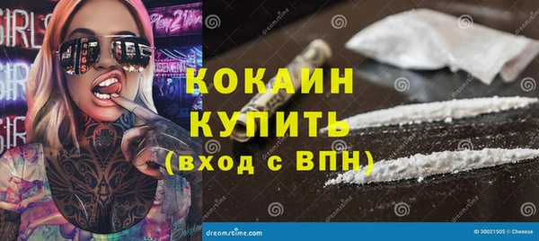 ПСИЛОЦИБИНОВЫЕ ГРИБЫ Богданович