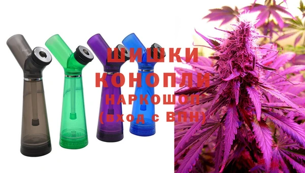 ПСИЛОЦИБИНОВЫЕ ГРИБЫ Богданович