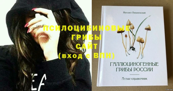 mdma Богородицк